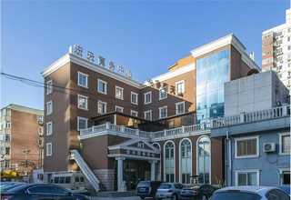 长宁区写字楼绿植租赁价格优惠